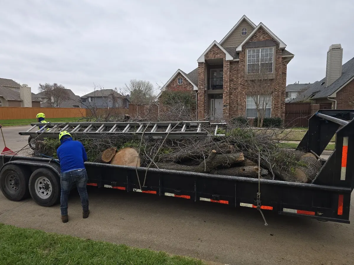 Expert Lot Clearing with proper safety equipment in Cookson